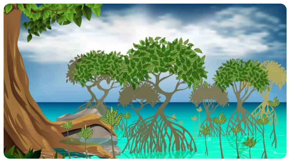 Kelola Mangrove dan Pemberdayaan Desa, Akhmad Refki Sabet Juara Pemuda Berprestasi 2025