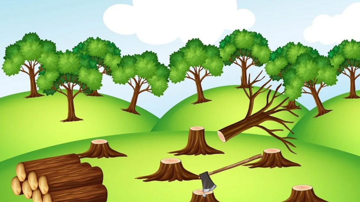 KPH Tala Amankan Puluhan Batang Kayu Hasil Penebangan Ilegal